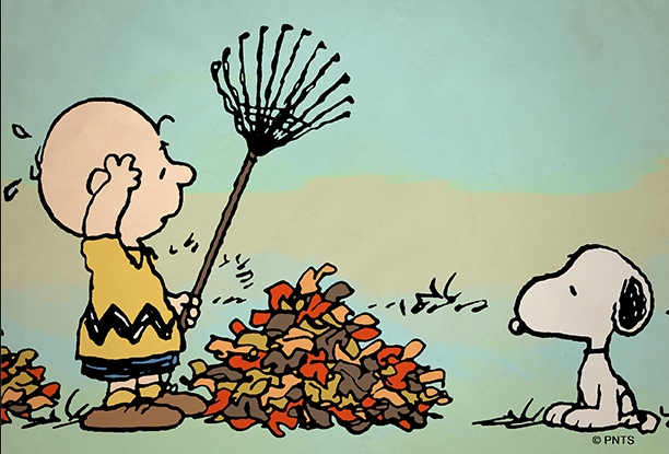 Charlie Brown y Snoopy, su mascota