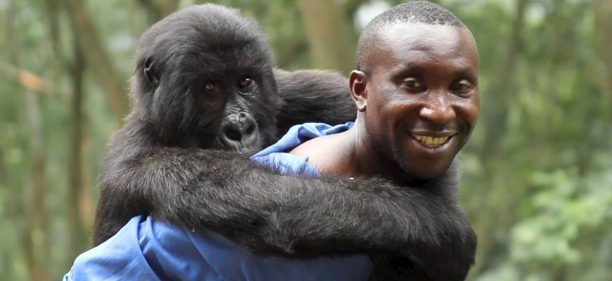 Virunga fue nominado a los Oscars