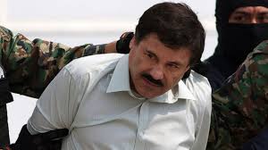 Historia de El Chapo Guzmán en el cine