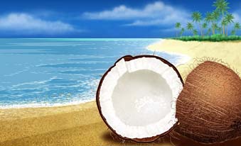 Usos del agua de coco