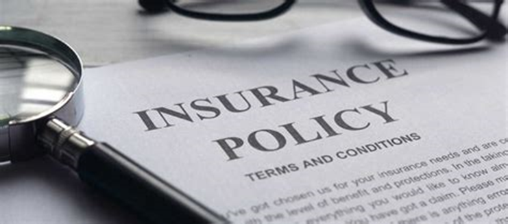 image 3 - Los principales riesgos en el sector de seguros y cómo gestionarlos por Hjalmar Gibelli
