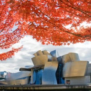 Luis Benshimol- Museo Guggenheim