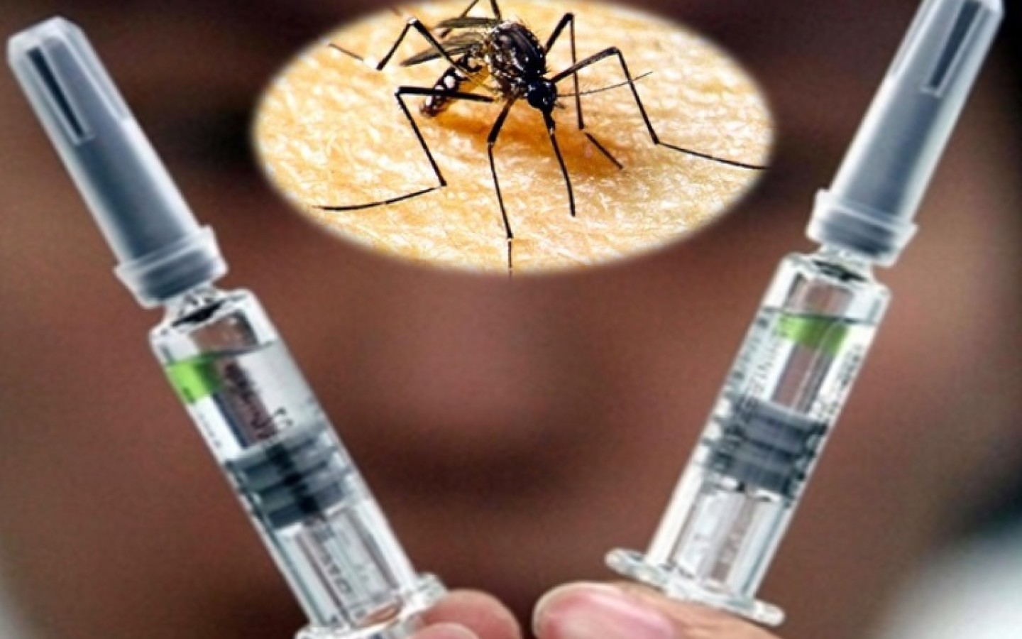 Desarrollan nueva vacuna contra la malaria