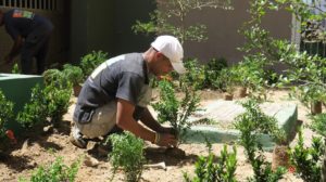 Edgard Raul Leoni Moreno - Jornada de reforestacion de la Fundacion AINCO en Mucuritas FINAL 28