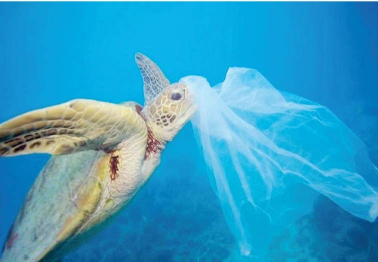 El plástico en los océanos