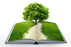 La educación ambiental, aprendamos a cuidar nuestro ambiente