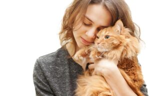 Lo-que-los-hombres-deberian-aprender-de-los-gatos.jpg