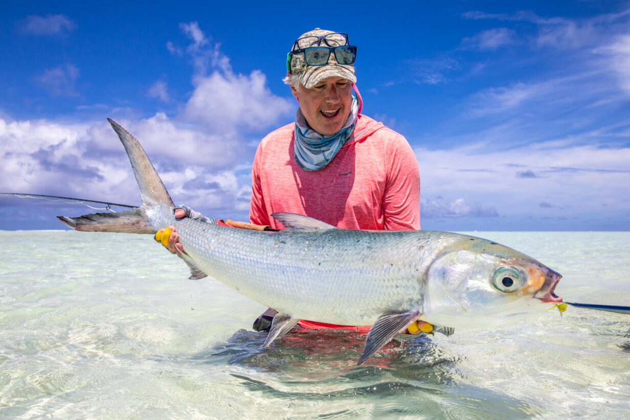 Alphonse TMD 2020 324 1232x821 - Tadeo Arosio: Milkfish Mayhem | Tarquin Millington-Drake