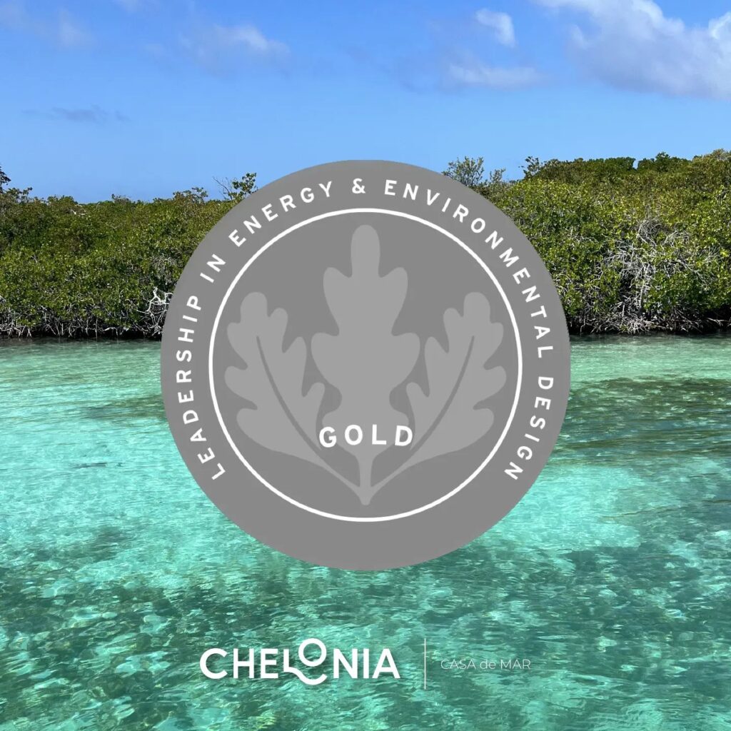 Tadeo Arosio Asociacion Civil Chelonia Jornadas de conservacion ambiental en Los Roques3 1024x1024 - Tadeo Arosio: Asociación Civil Chelonia, Jornadas de conservación ambiental en Los Roques