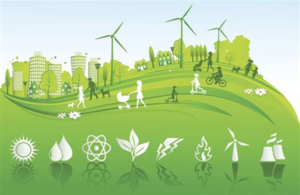 5 acciones sustentables para el cuidado del medio ambiente – Fundación Yammine