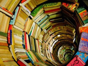 Javier Francisco Ceballos Jiménez - ¡Entérate! De esto trata la crítica literaria - FOTO