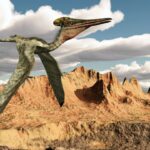 Hallan restos de un pterosaurio, el reptil volador de más de 100 millones de años