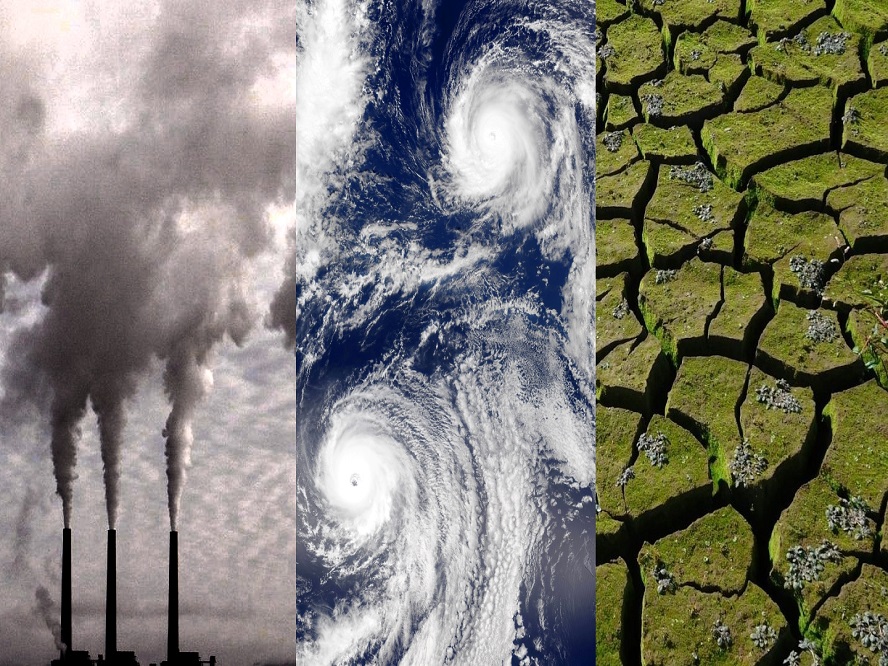 Ligia Carolina Gorriño Castellar - Cambio climático ¡La principal preocupación de las aseguradoras! - FOTO