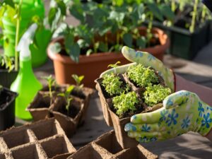 Fundación Yammine - Jardín Ecológico ¡La manera ideal de minimizar el impacto ambiental! - FOTO