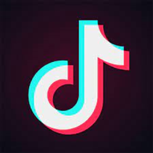 Los mejores ejemplos de TikTok para convencerte de usarlo – Juan Francisco Clerico