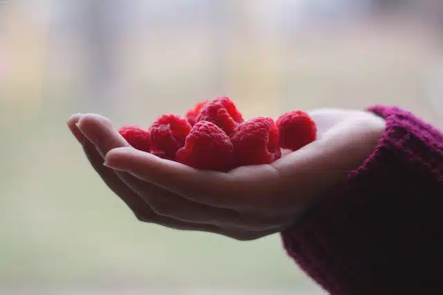 Beneficios de las frambuesas para tu salud
