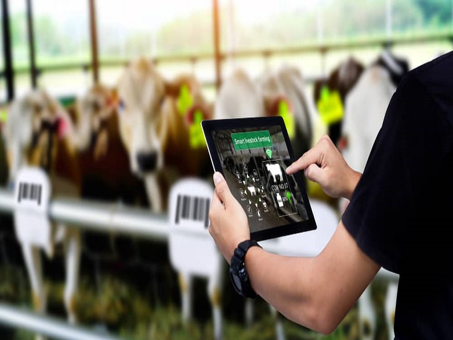 Juan Fernando Serrano Ponce - ¡Entérate! Ganadería inteligente; Qué es y cuáles tecnologías utiliza - FOTO