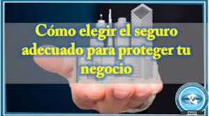 Tipos de seguros ofrecidos por las aseguradoras y cómo elegir el más adecuado para tu negocio - Hjalmar Gibelli