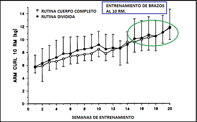 brazos - Sebastian Cano Caporales: 3 formas de organizar tu Entrenamiento de Fuerza – Corporal Kinesis