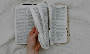 como-se-han-traducido-y-transmitido-los-textos-biblicos-a-lo-largo-de-la-historia.jpg