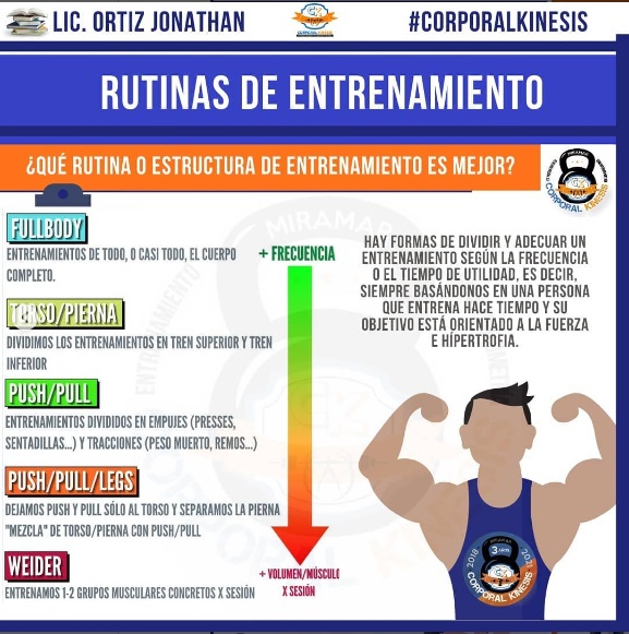 rutinas - Sebastian Cano Caporales: 3 formas de organizar tu Entrenamiento de Fuerza – Corporal Kinesis