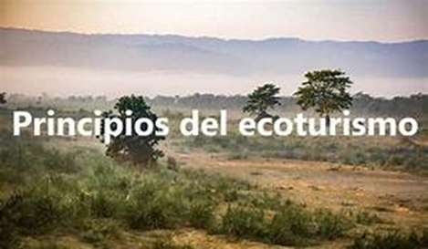 Una guía para viajar de manera responsable y sostenible – Héctor Andrés Obregón Pérez