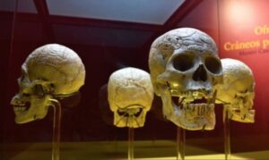 Museo de cráneos en México - Swarosvki