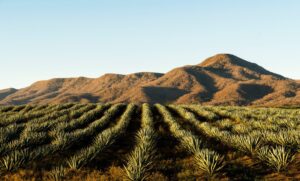  Descubriendo la Belleza de los Destinos Rurales: Planificación de Rutas y Actividades para una Experiencia Inolvidable