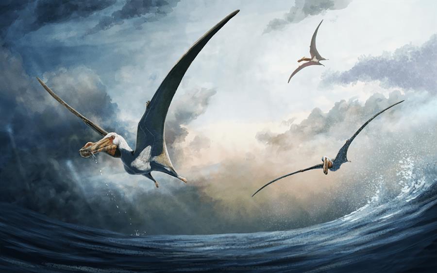 saurio volador