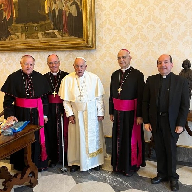 Papa Francisco y CEV