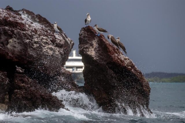 El Sumario - Fundación de Jeff Bezos hace donación para islas Galápagos islas Galápagos