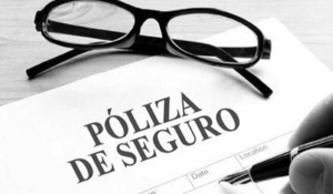 Descifrando el contenido de una póliza de seguro: Protección y tranquilidad explicadas 