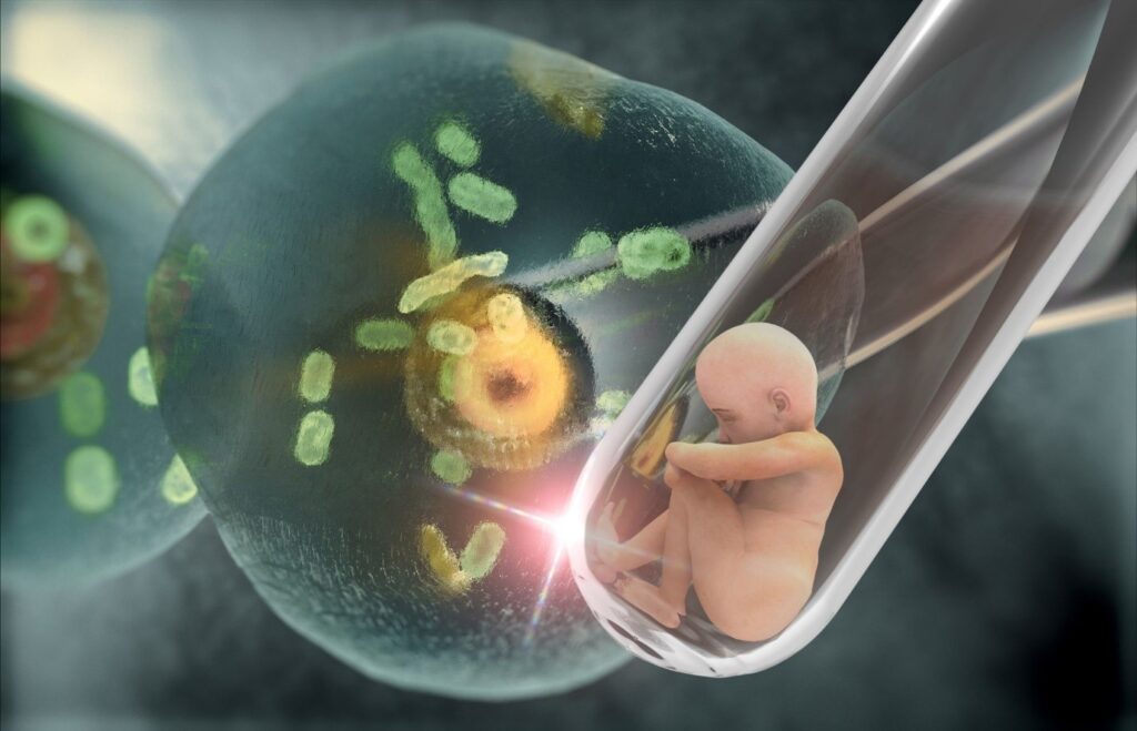 Explorando las Técnicas de Reproducción Asistida: De la Inseminación Artificial a la Transferencia de Embriones 