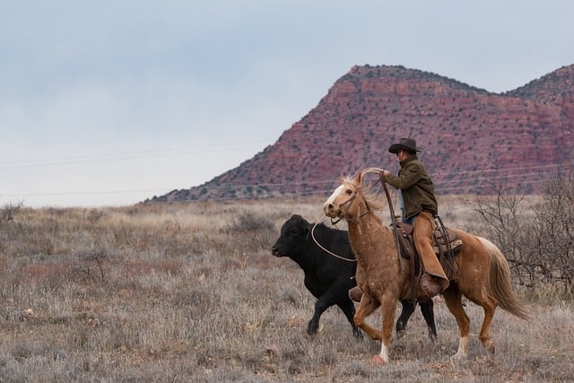 cowboy.jpg