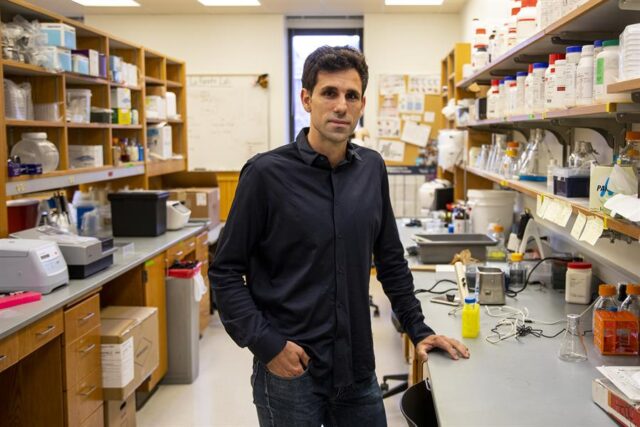 El Sumario - Descubren en microbioma humano cientos de antibióticos estudio - microbiota - antibióticos