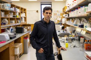 estudio - microbiota - antibióticos