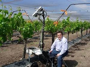 Innovaciones en técnicas de cultivo y vinificación: Cómo la tecnología está transformando la industria vinícola 