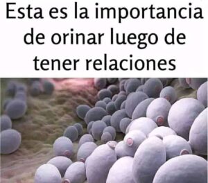 importancia20de20orinar20despues20de20tener20relaciones20sexuales.jpg