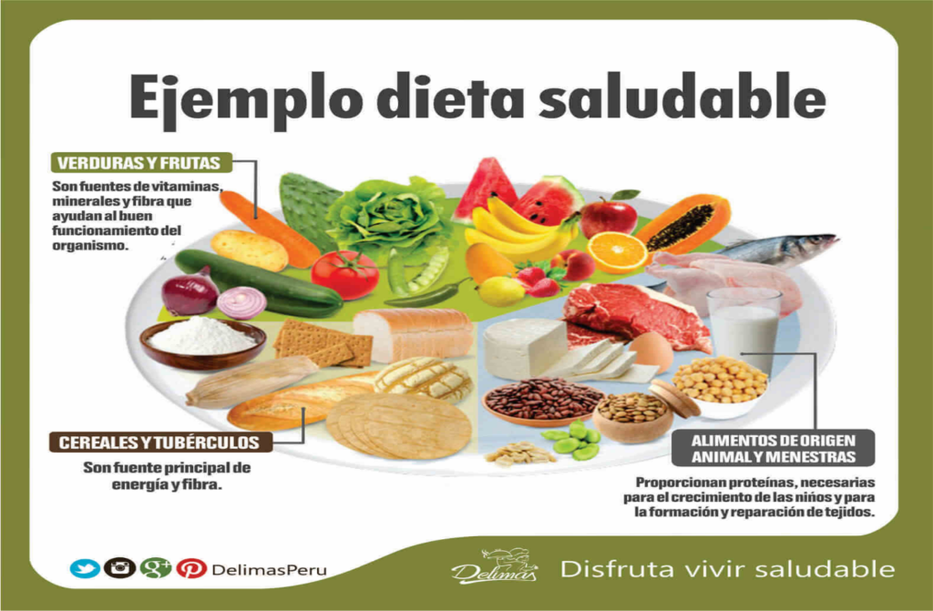Dietas y Estilos de Alimentación Saludables: Guía para una Vida Equilibrada