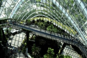 Nelson Rafael Bustamante Abidar - ¡Entérate! Arquitectura biofílica; Qué es ¡Características, ventajas y tendencias! - FOTO