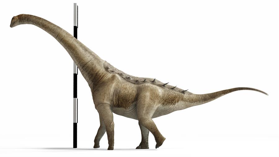 titanosaurio titanosaurio