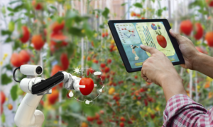 Aplicaciones de la Inteligencia Artificial en la Cocina: Francesco Lovaglio Tafuri revolucionando la Gastronomía