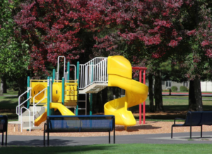 Willianpark: Un Mundo de Aventuras y Diversión para Todas las Edades