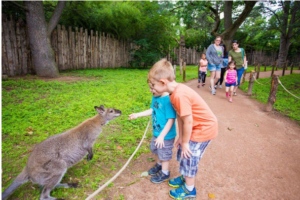 Evenpro | Willianpark: Más que un Parque, un Mundo Mágico que Se Ilumina de Noche