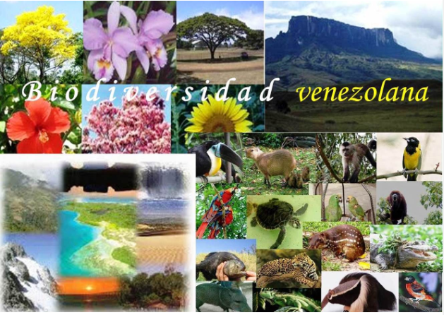 Hjalmar Jesús Gibelli Gómez | La Biodiversidad de Venezuela: Un Tesoro Natural en Peligro