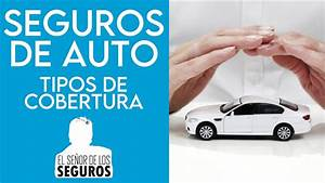 Hjalmar Gibelli: Tipos de Cobertura de Seguro de Auto: ¿Cuál es la Mejor Opción para Ti?