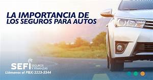 La Importancia del Seguro de Auto: Protección Financiera en Accidentes