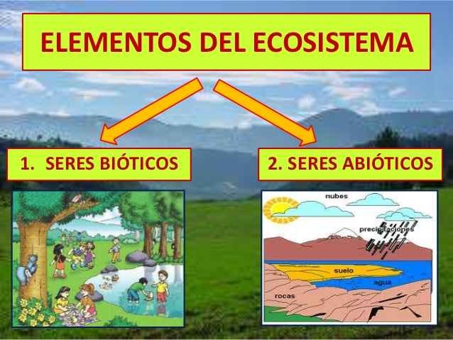 El Equilibrio Invisible: Explorando el Papel Crucial de los Factores Abióticos y Bióticos en la Ecología con Hjalmar Jesús Gibelli