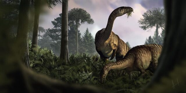 El Sumario - Análisis da pistas sobre el ascenso de los dinosaurios dinosaurios