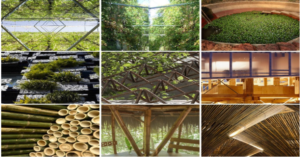 Materiales Ecológicos y Técnicas de Construcción con Menor Impacto Ambiental